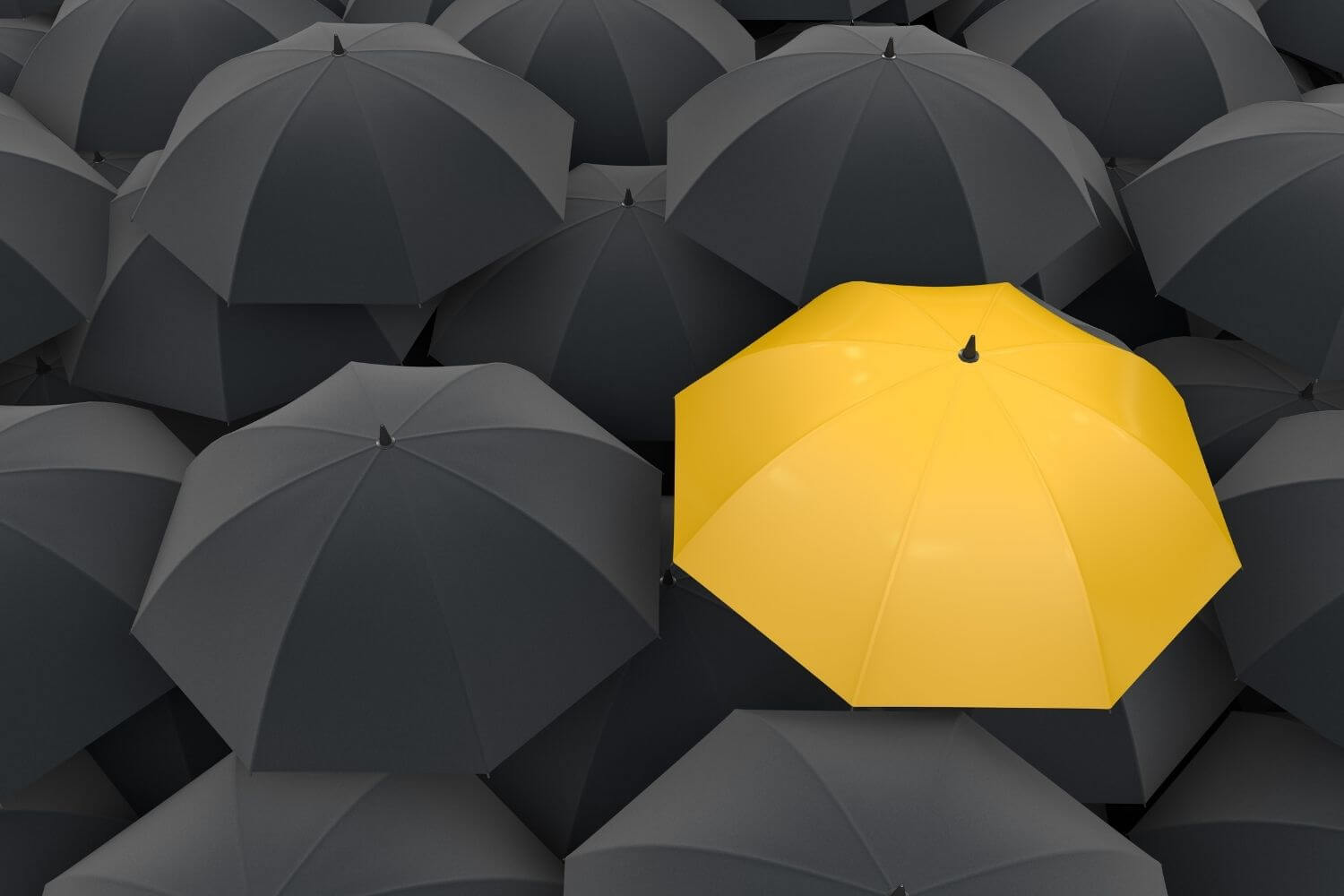 One yellow umbrella amongst black umbrellas