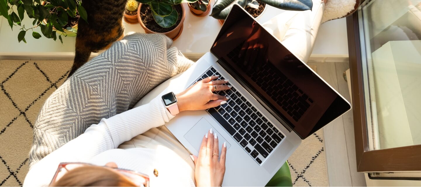 Freelancer working on a laptop in a bright home office, with a cat nearby and plants on the windowsill.
