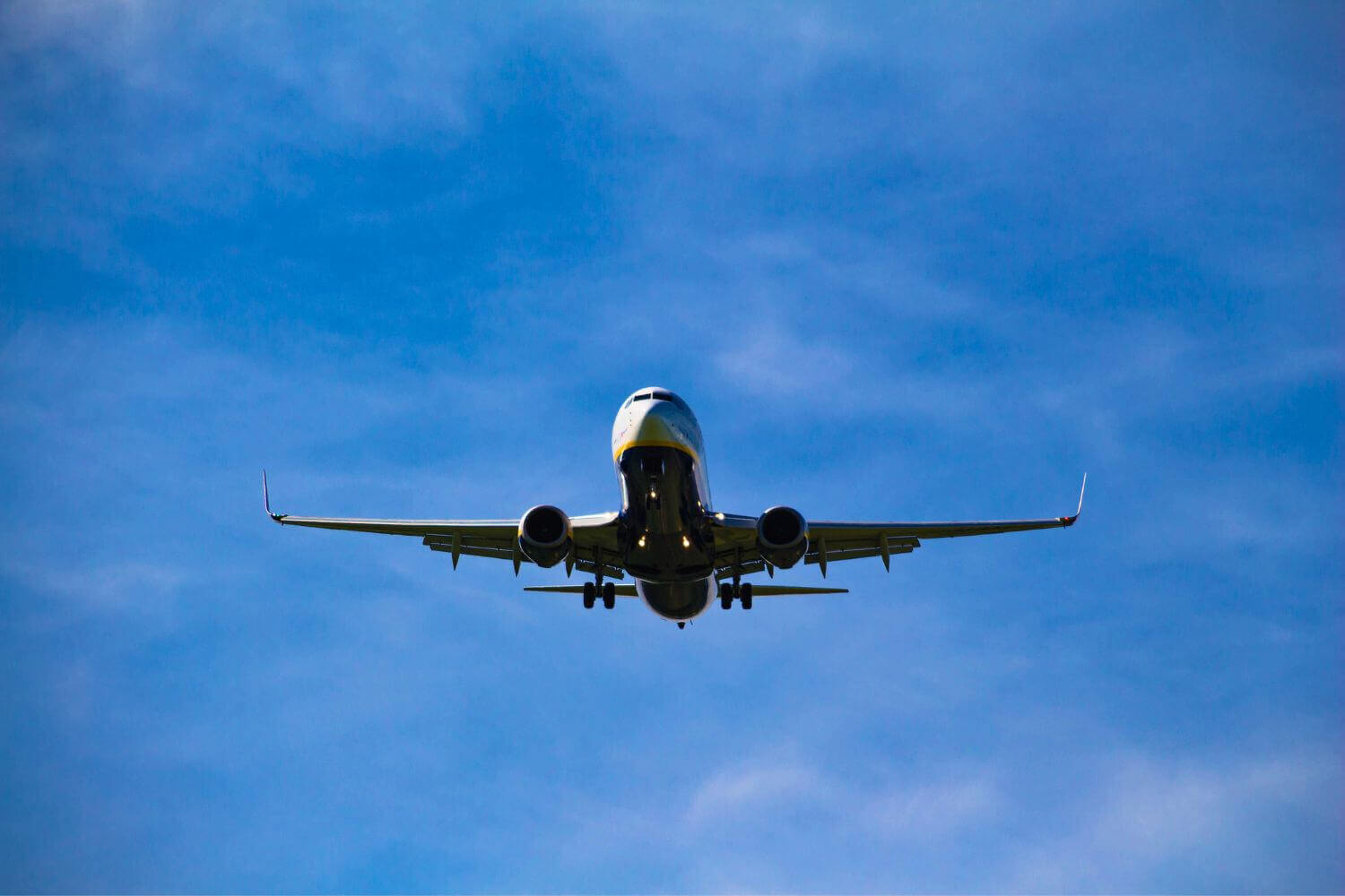 Image of in-flight Ryanair plane, representing Court of Appeals IR35 case Jason Lutz vs Ryanair. Experts discuss key takeaway that "sham" PSC can't disguise employment
